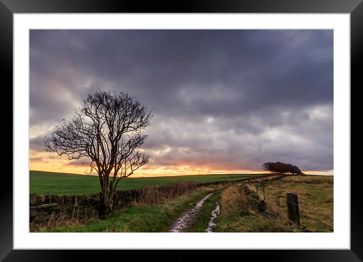 Country lane  Framed Mounted Print by chris smith