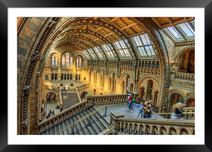 Natural History Museum  Framed Mounted Print by chris smith