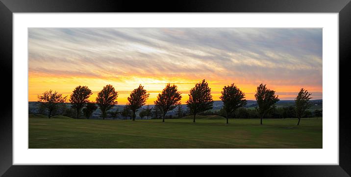 Row of tree golden sunset  Framed Mounted Print by chris smith