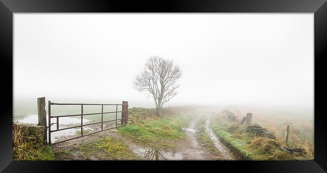 Thick fog on a country lane. Framed Print by chris smith