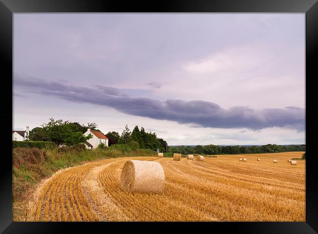 Straw bales   Framed Print by chris smith