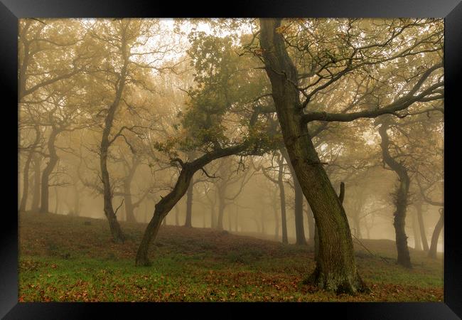 Autumn Mist  Framed Print by chris smith