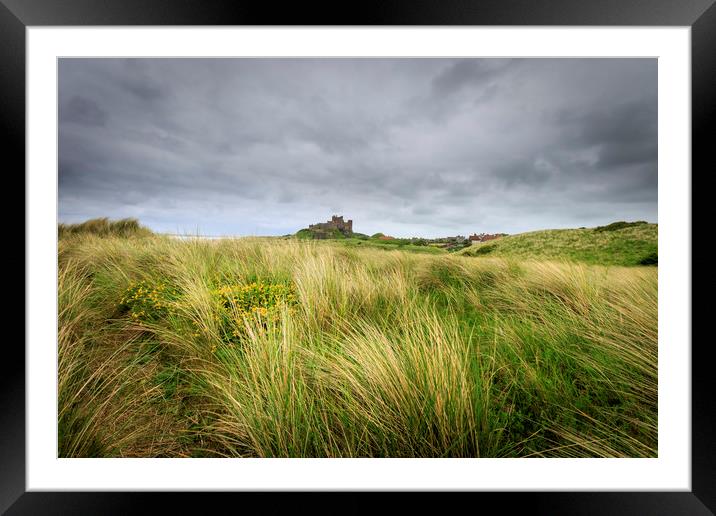 Bamburgh Castle       Framed Mounted Print by chris smith