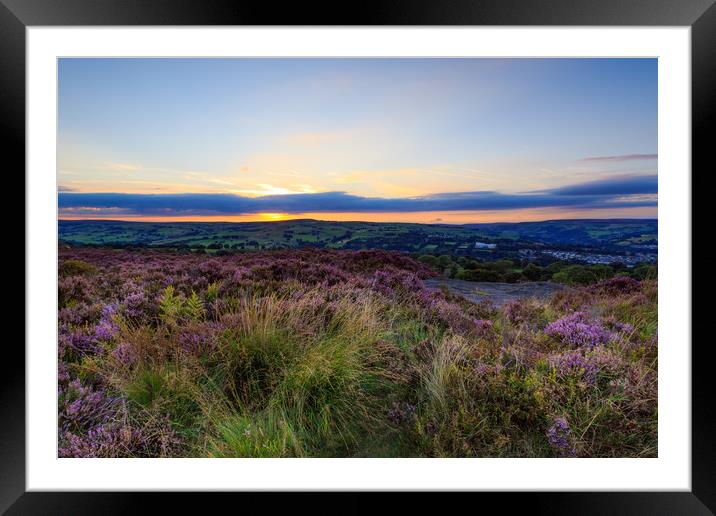 Heather sunset  Framed Mounted Print by chris smith