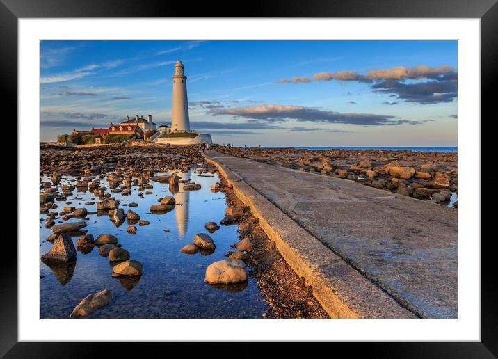 st marys lighthouse  Framed Mounted Print by chris smith