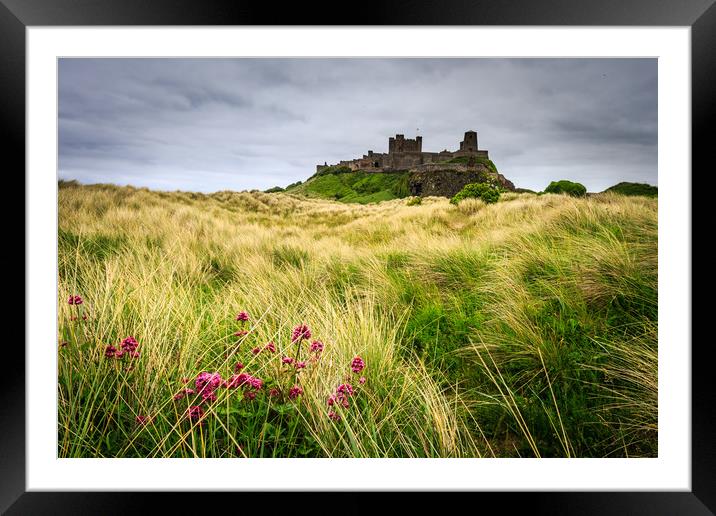 Bamburgh Castle  Framed Mounted Print by chris smith