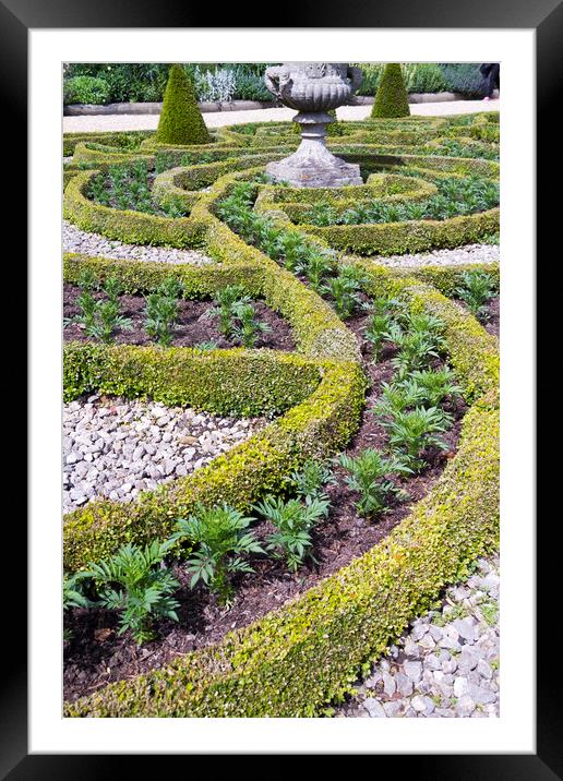 Formal gardens  Framed Mounted Print by chris smith