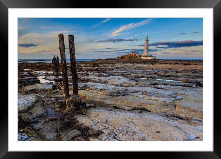 st marys lighthouse               Framed Mounted Print by chris smith