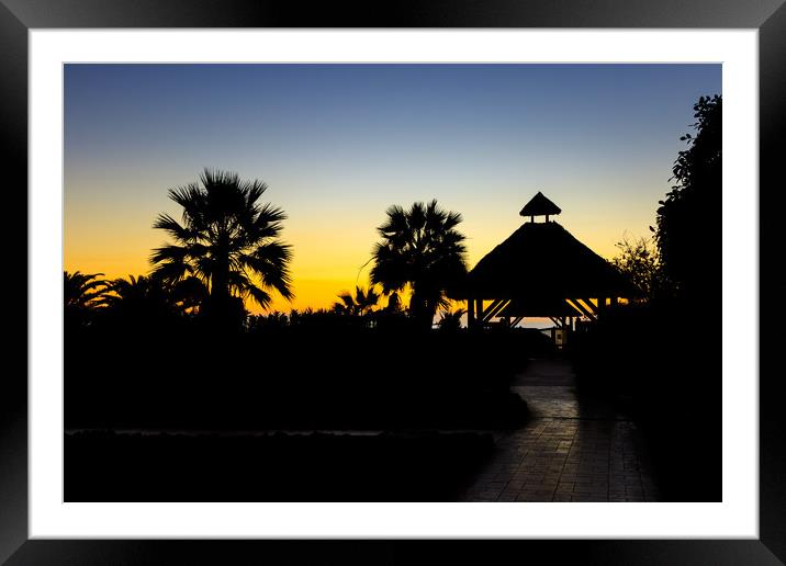 Palm trees at sunrise         Framed Mounted Print by chris smith
