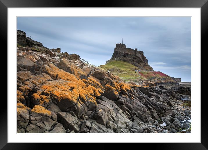 Lindisfarne Castle, holy island  Framed Mounted Print by chris smith