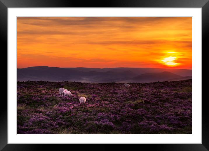 Peak district sunset  Framed Mounted Print by chris smith