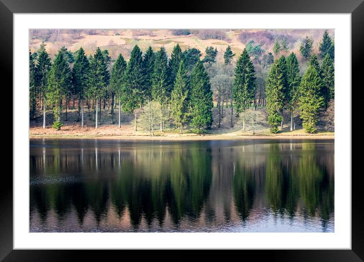 Trees reflection  Framed Mounted Print by chris smith