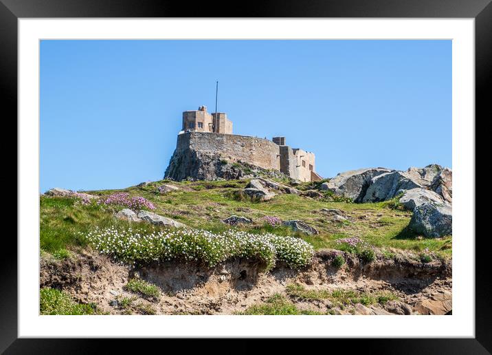Lindisfarne castle   Framed Mounted Print by chris smith