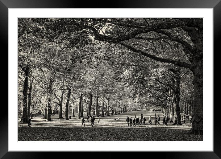 London Park Framed Mounted Print by chris smith