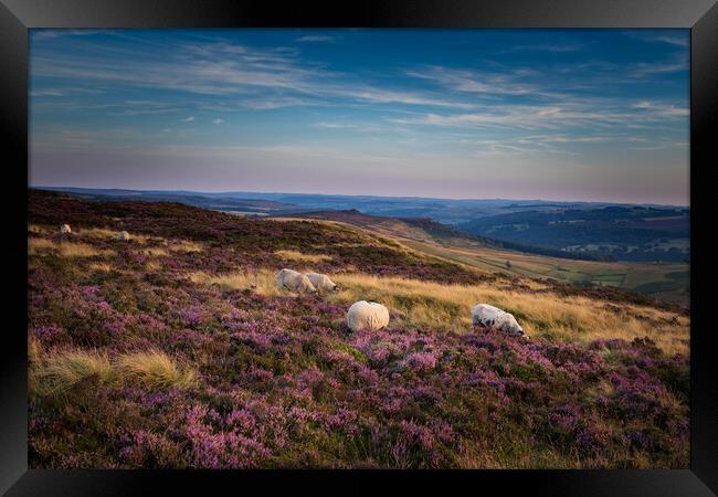 Peak district National Park Framed Print by chris smith