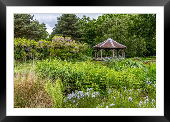 Cottage garden  Framed Mounted Print by chris smith