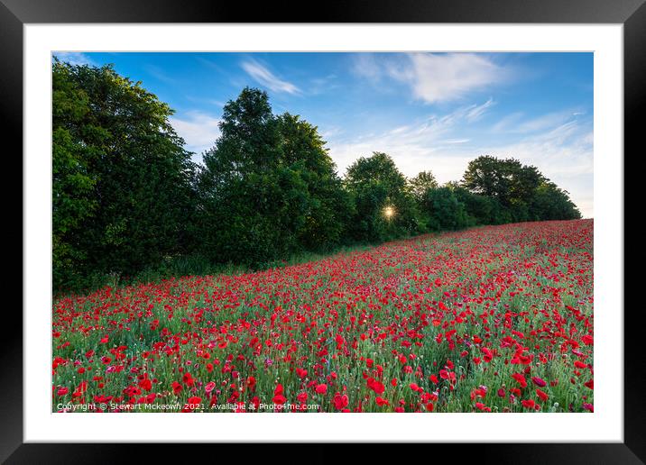 Poppy Sunstar Framed Mounted Print by Stewart Mckeown