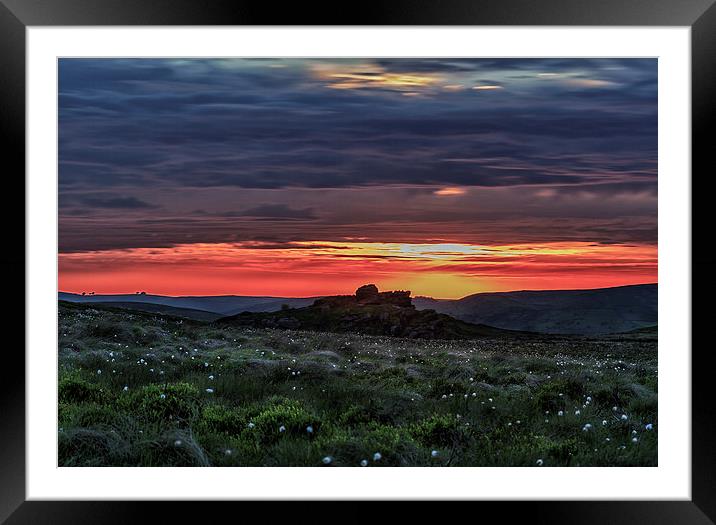 Cotton covering Framed Mounted Print by Mark Ollier