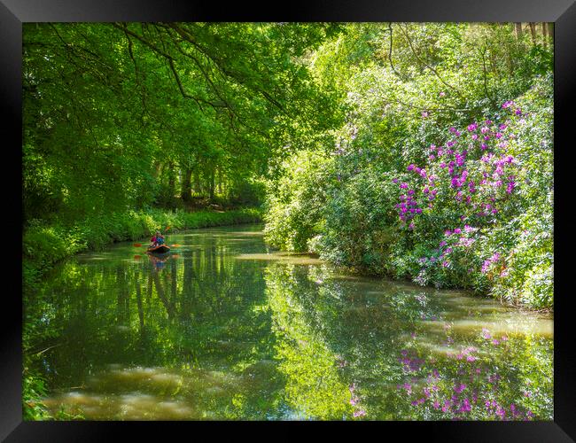 Basingstoke Canal. North Hampshire  Framed Print by Philip Enticknap