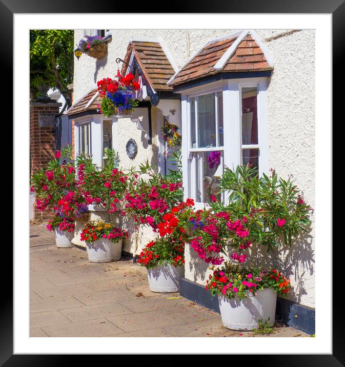 Colourful flower pots  Framed Mounted Print by Philip Enticknap