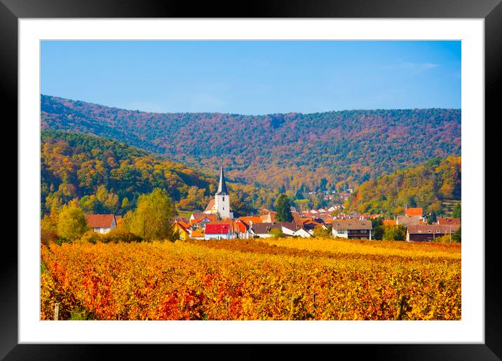 Autumn vineyard,Germany Framed Mounted Print by Philip Enticknap