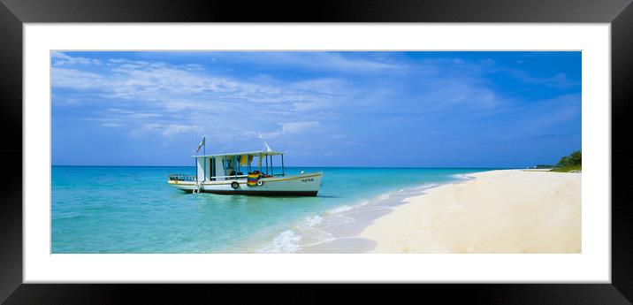COZUMEL ISLAND,MEXICO Framed Mounted Print by Philip Enticknap