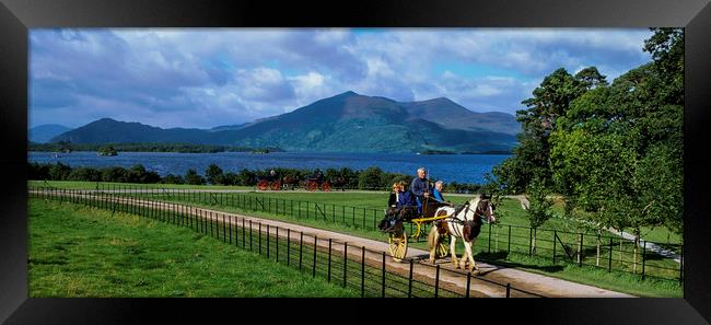 Jaunting Cart, County Kerry, Ireland  Framed Print by Philip Enticknap