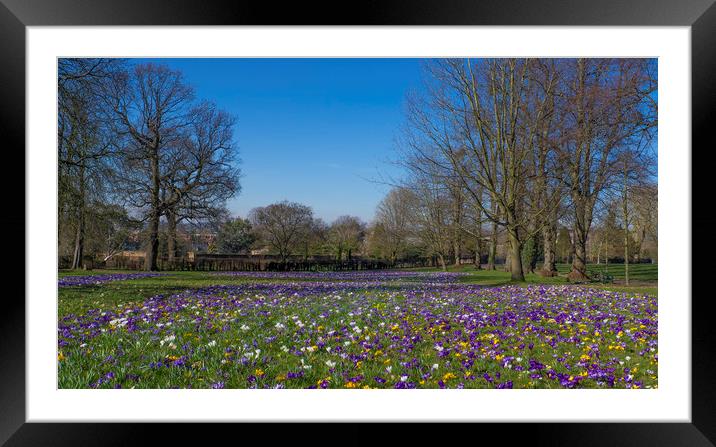 Memory Meadow Stoke Park Guildford Surrey Framed Mounted Print by Philip Enticknap