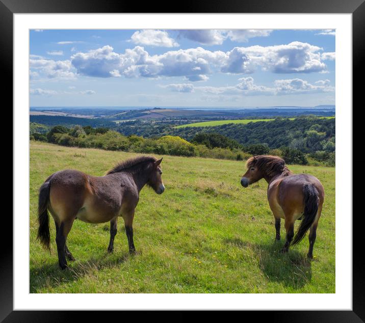 Butser Hill ,Hampshire  Framed Mounted Print by Philip Enticknap