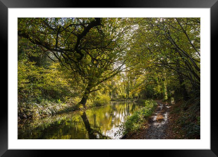 Basingstoke Canal Autumn Framed Mounted Print by Philip Enticknap