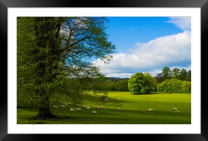 Grounds of Chawton House Library,Hampshire Framed Mounted Print by Philip Enticknap