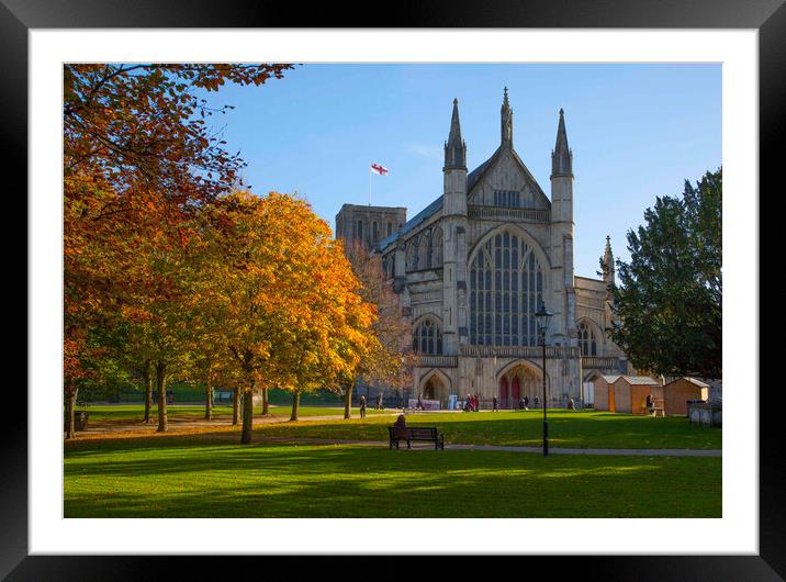 Winchester Cathedral in Autumn Framed Mounted Print by Philip Enticknap