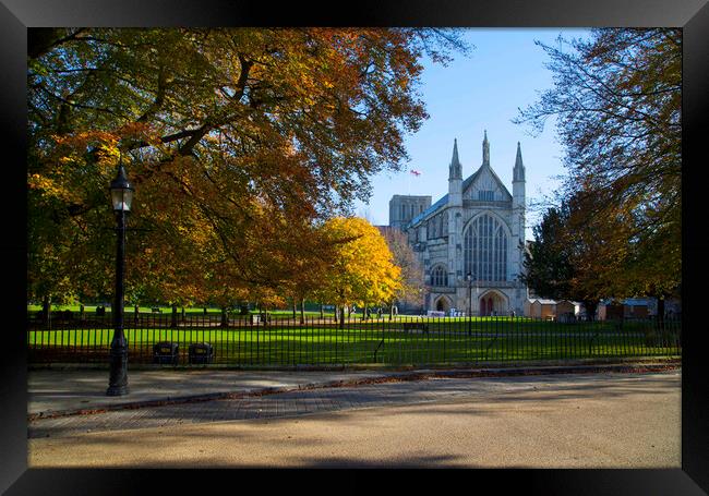 Winchester Cathedral in Autumn Framed Print by Philip Enticknap