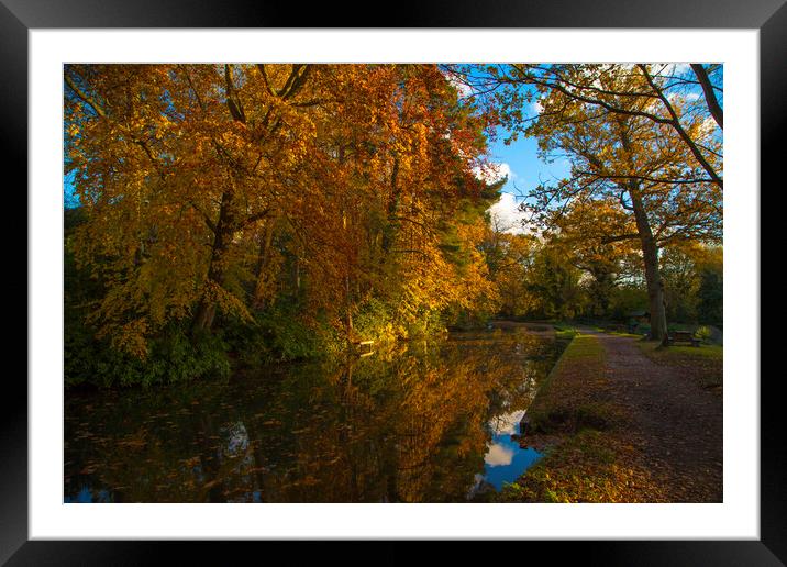 Basingstoke Canal in Autumn  Framed Mounted Print by Philip Enticknap