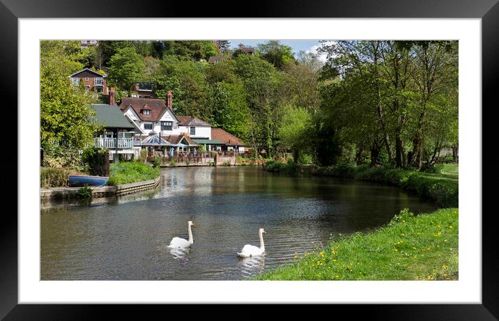 The River Wey , Guildford Surrey Framed Mounted Print by Philip Enticknap