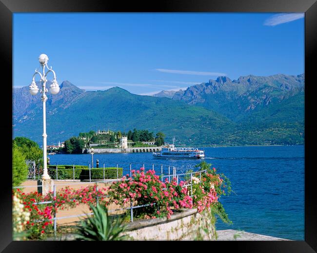 ISOLA BELLA Framed Print by Philip Enticknap