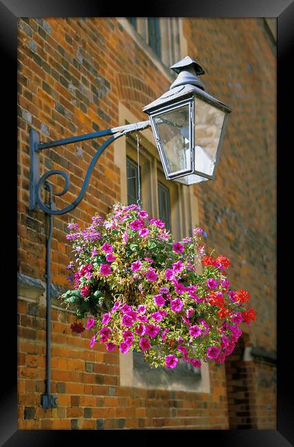 Winchester Hampshire England  Decorative Lamp in  Winchester Col Framed Print by Philip Enticknap