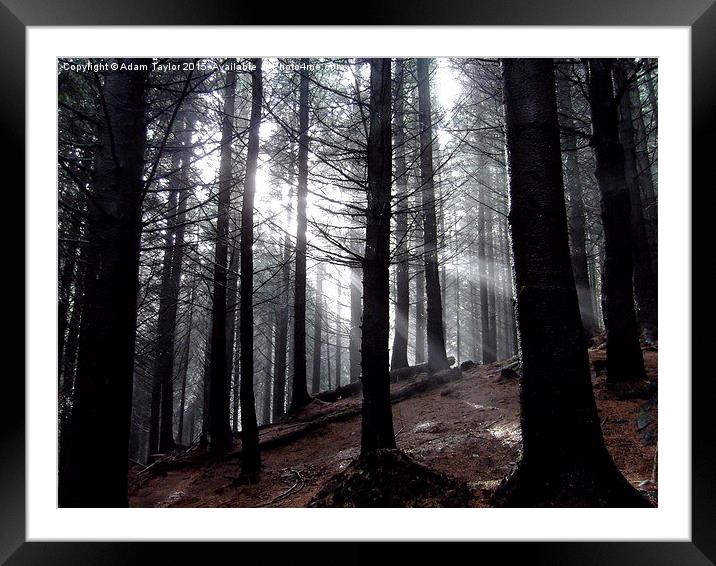  Autumn in Whinlatter Framed Mounted Print by Adam Taylor