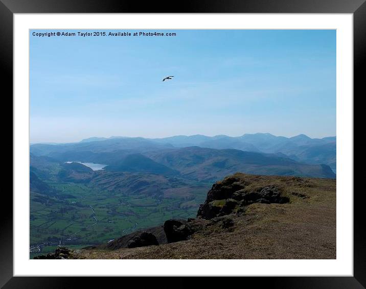  Flying free over Blencathra Framed Mounted Print by Adam Taylor