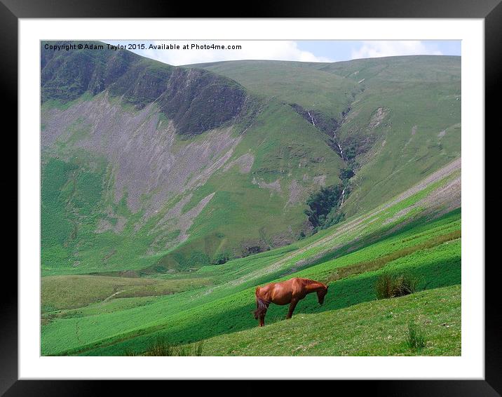  Horse at Cautley spout Framed Mounted Print by Adam Taylor