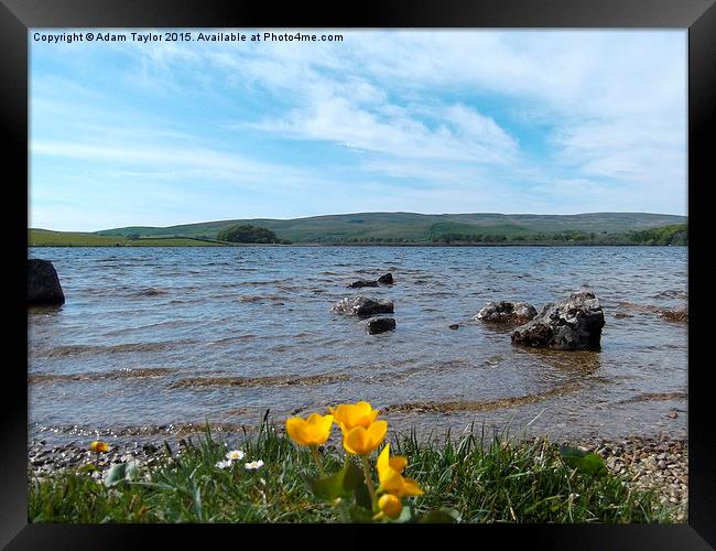  Summer at Malham tarn Framed Print by Adam Taylor