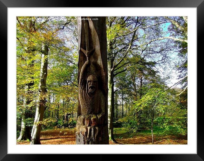  Robert the bruce in the trees in scotland Framed Mounted Print by Adam Taylor