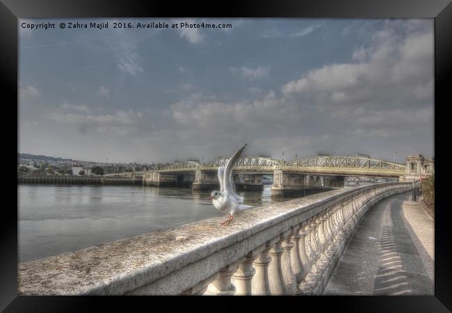Historic Rochester Bridge Photobombed  Framed Print by Zahra Majid
