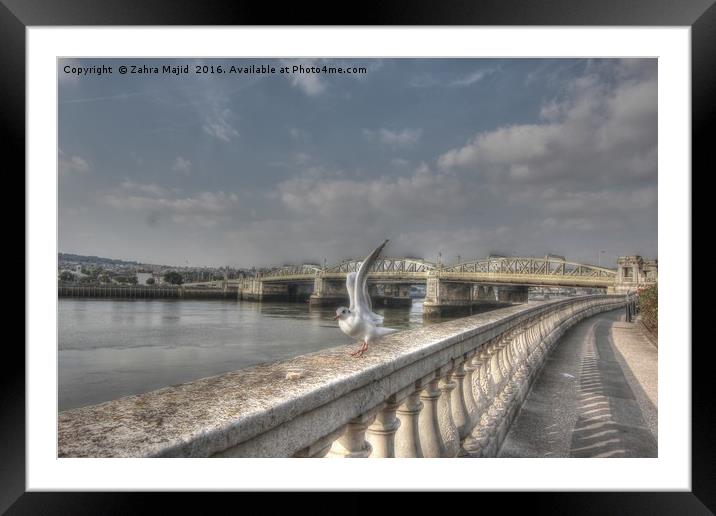 Historic Rochester Bridge Photobombed  Framed Mounted Print by Zahra Majid