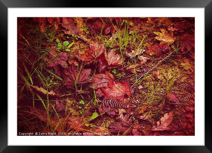 Autumn Red Framed Mounted Print by Zahra Majid