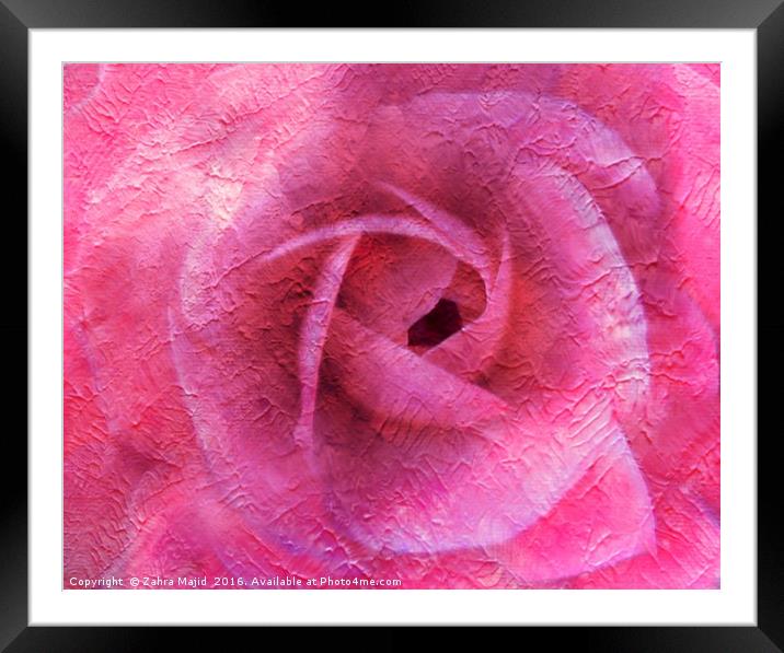 Summer Rose Art Framed Mounted Print by Zahra Majid