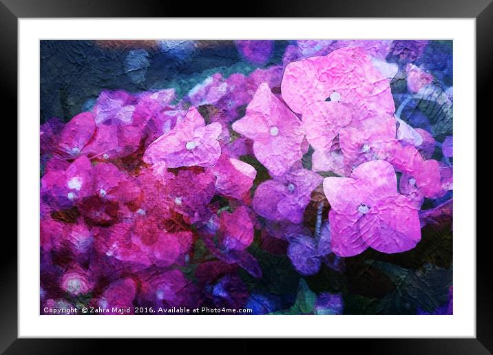 Purple Pink Fluid Flora Framed Mounted Print by Zahra Majid