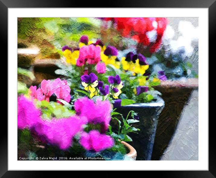 Pretty Summer Garden Framed Mounted Print by Zahra Majid