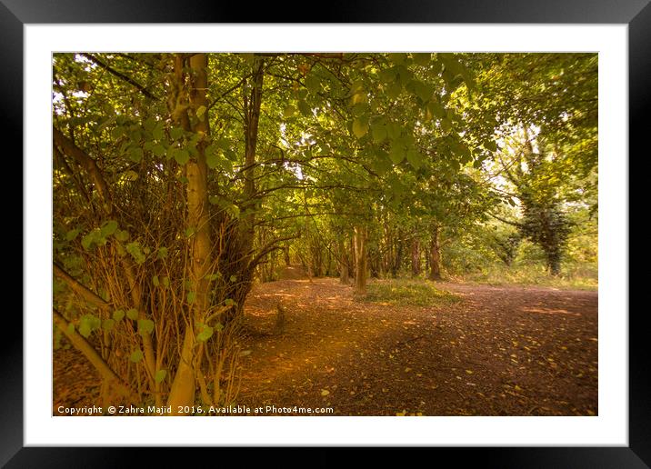 Manor Park in West Malling Kent Framed Mounted Print by Zahra Majid