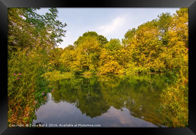 Reflection in Manor Park Lake Framed Print by Zahra Majid